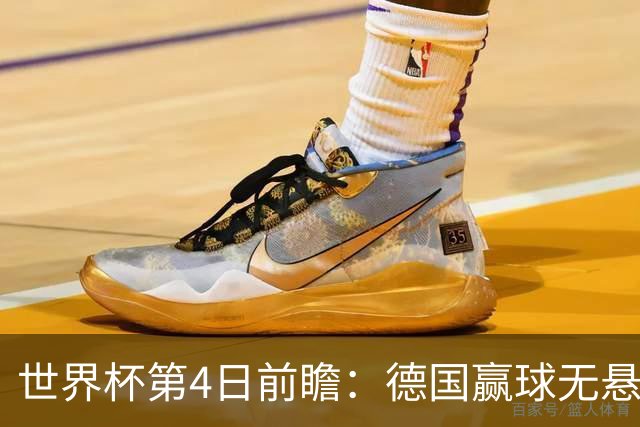 世界杯第4日前瞻：德国赢球无悬念 荷日激情对话有看点