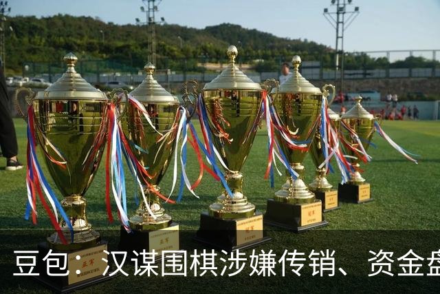 豆包：汉谋围棋涉嫌传销、资金盘争议，风险极高